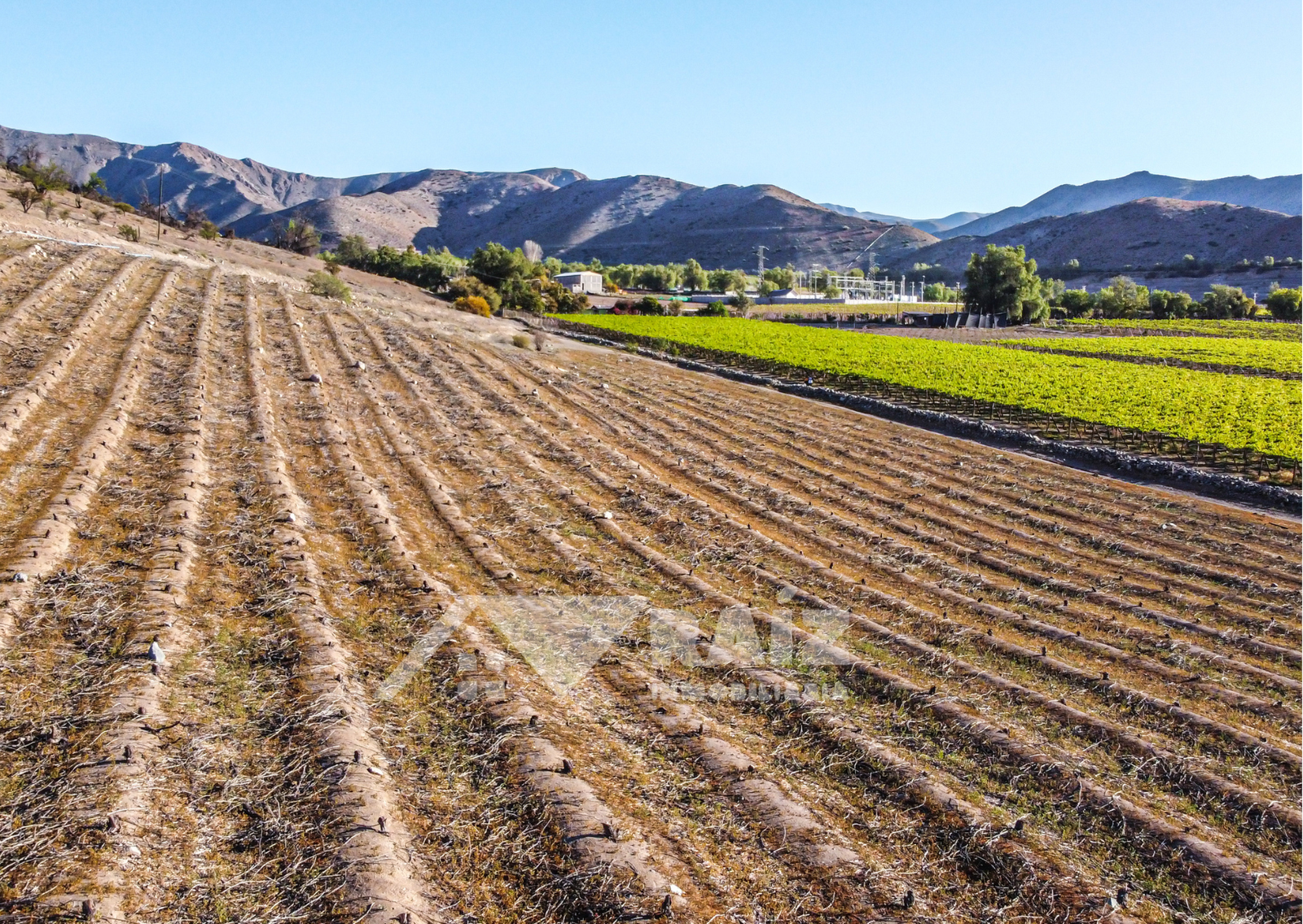 Parcelas en exclusivo Proyecto El Damascal