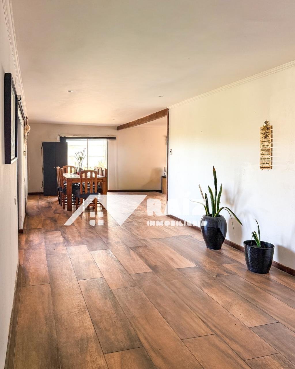 Parcela agro residencial 5.000 m² Alfalfares Oriente