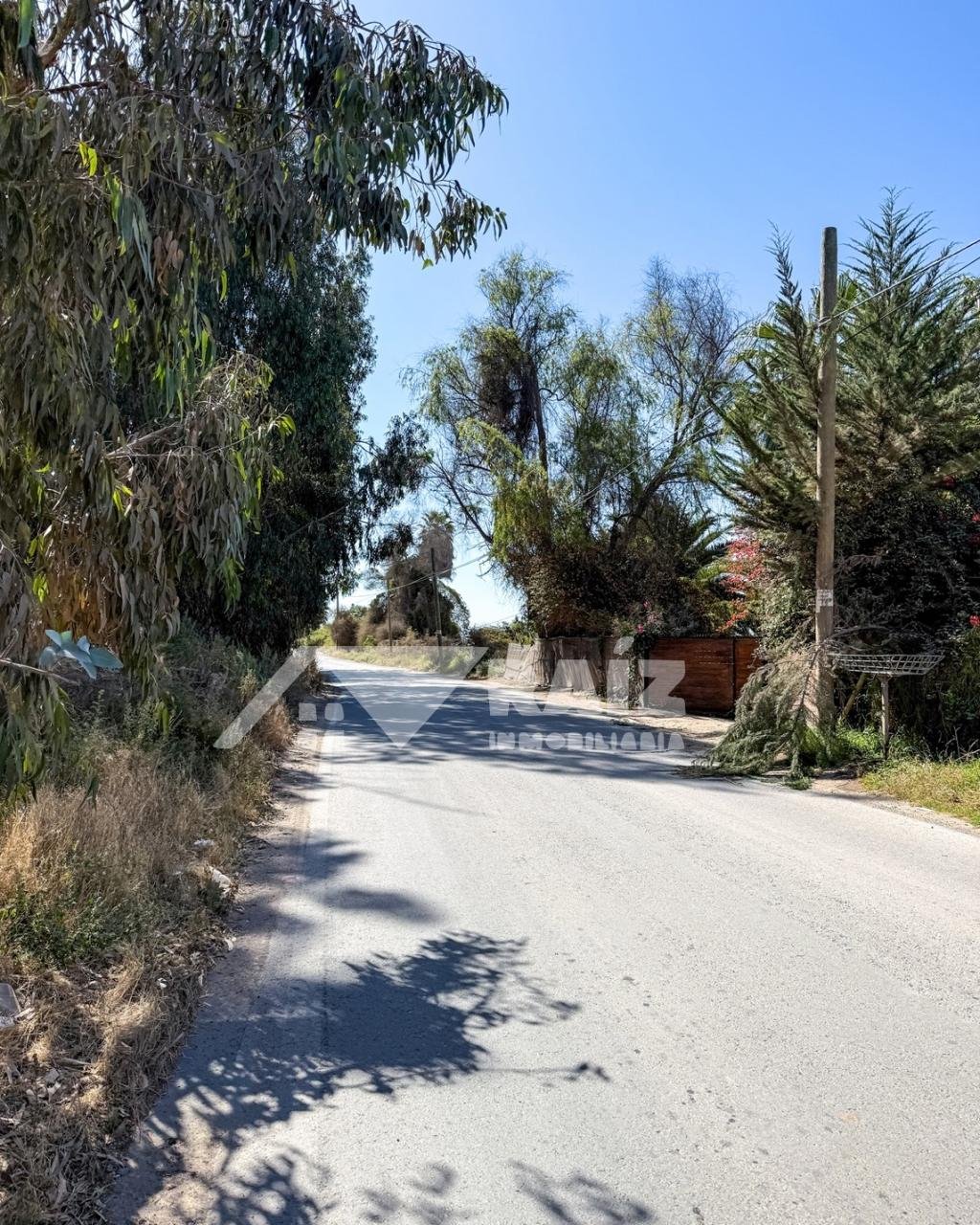 Parcela agro residencial 5.000 m² Alfalfares Oriente